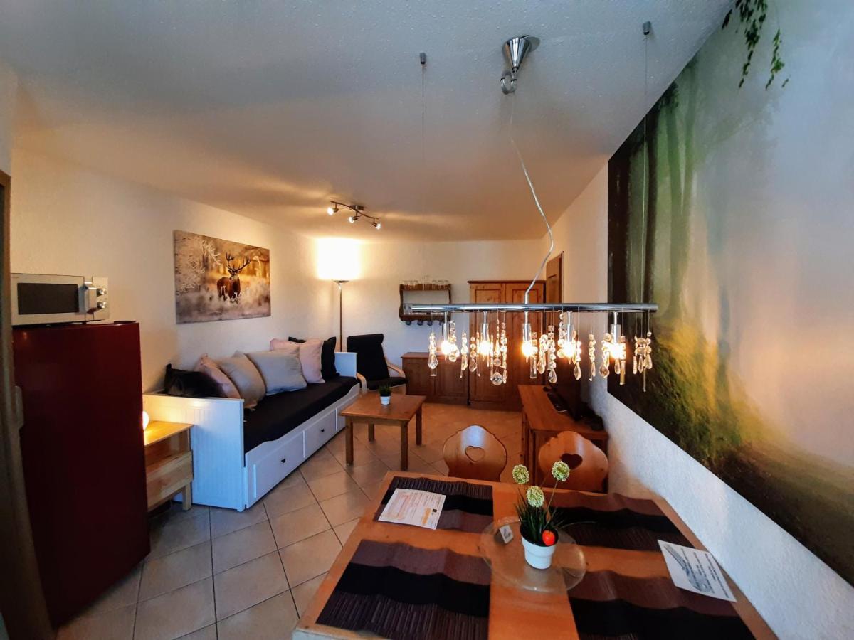 Residenz Schauinsland, Ganzes Appartement, Sauna Todtnau Exterior foto