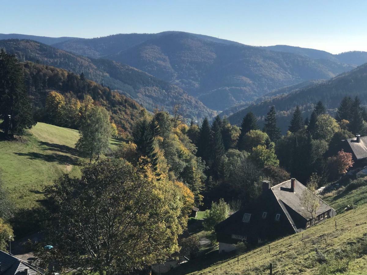 Residenz Schauinsland, Ganzes Appartement, Sauna Todtnau Exterior foto